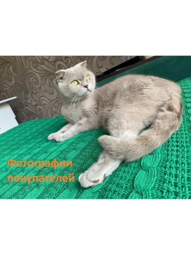 Плед 150х200 покрывало на диван кровать вязаный детский фото 7